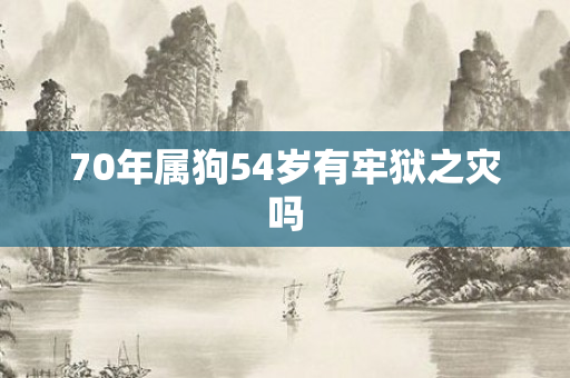70年属狗54岁有牢狱之灾吗