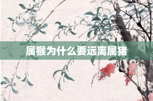 属猴为什么要远离属猪
