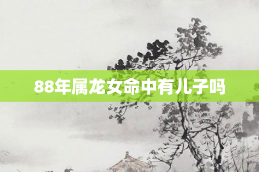 88年属龙女命中有儿子吗