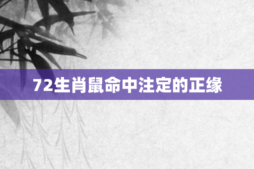 72生肖鼠命中注定的正缘