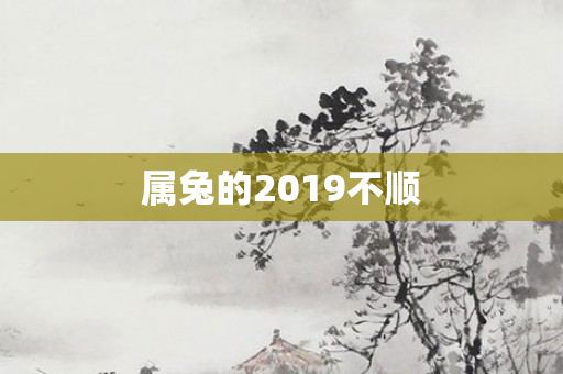 属兔的2019不顺