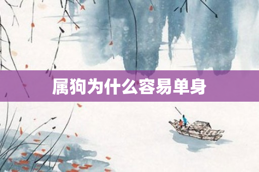 属狗为什么容易单身