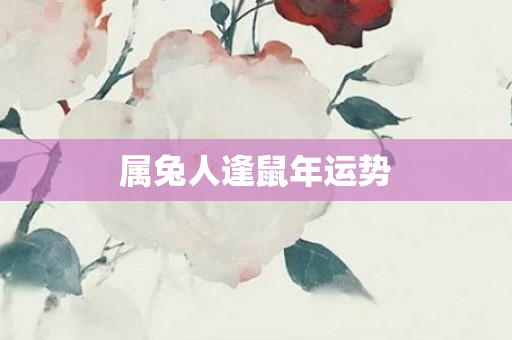 属兔人逢鼠年运势