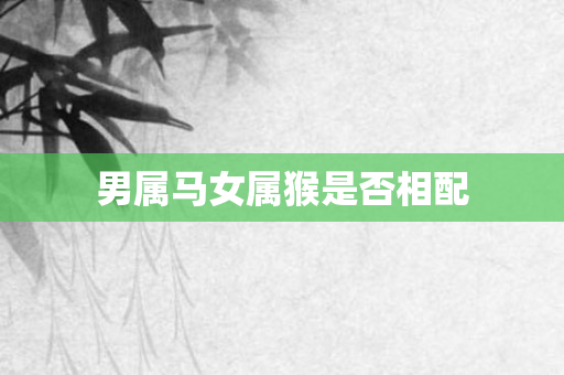 男属马女属猴是否相配
