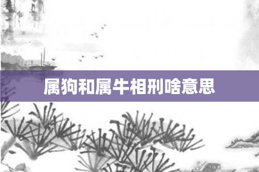 属狗和属牛相刑啥意思