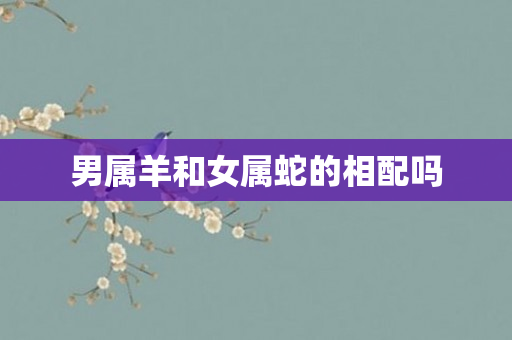 男属羊和女属蛇的相配吗