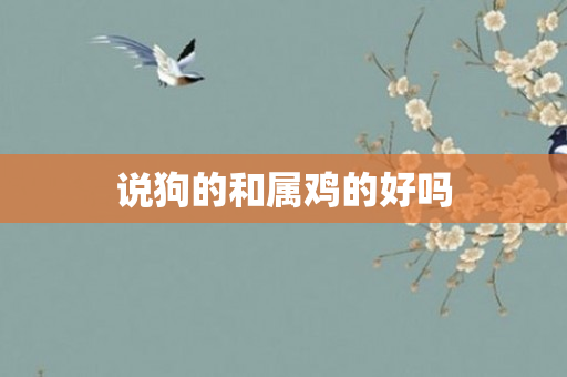 说狗的和属鸡的好吗
