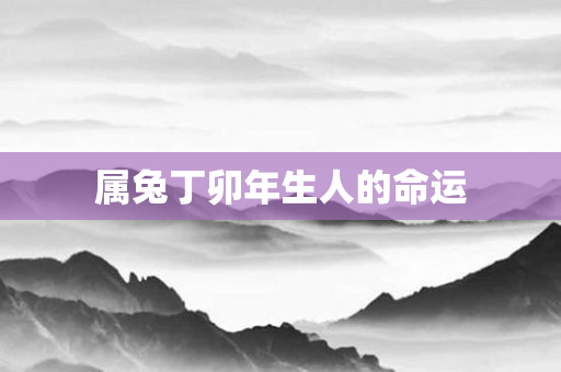 属兔丁卯年生人的命运