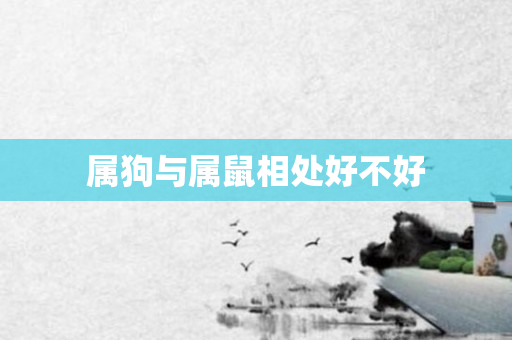 属狗与属鼠相处好不好
