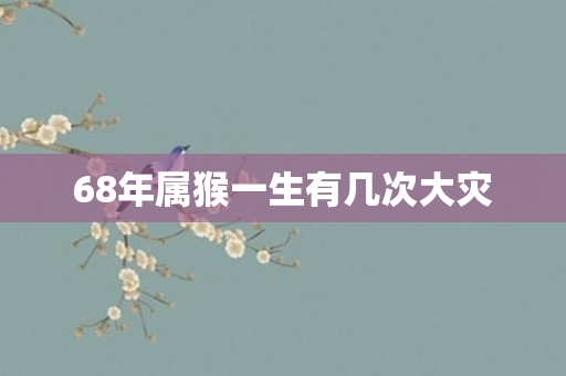 68年属猴一生有几次大灾