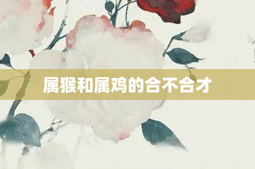 属猴和属鸡的合不合才