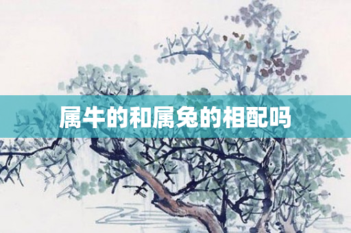 属牛的和属兔的相配吗