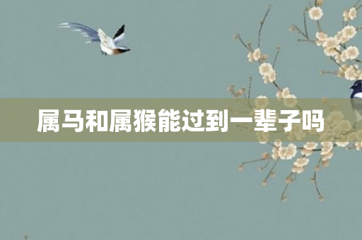 属马和属猴能过到一辈子吗