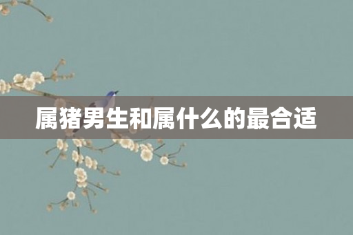 属猪男生和属什么的最合适