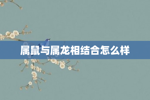 属鼠与属龙相结合怎么样