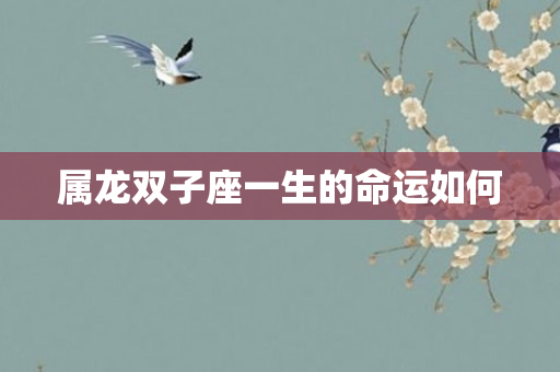 属龙双子座一生的命运如何