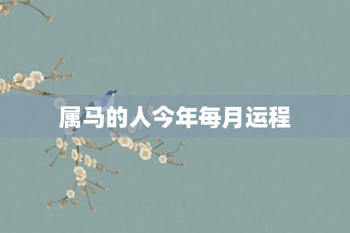 属马的人今年每月运程