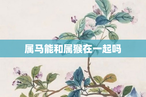 属马能和属猴在一起吗