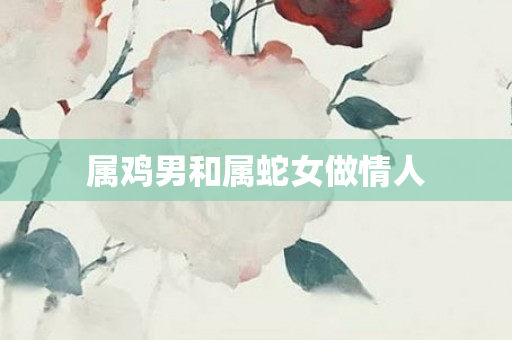 属鸡男和属蛇女做情人
