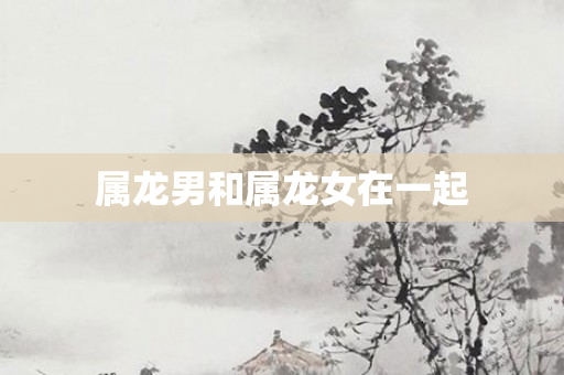 属龙男和属龙女在一起