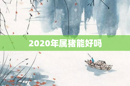 2020年属猪能好吗