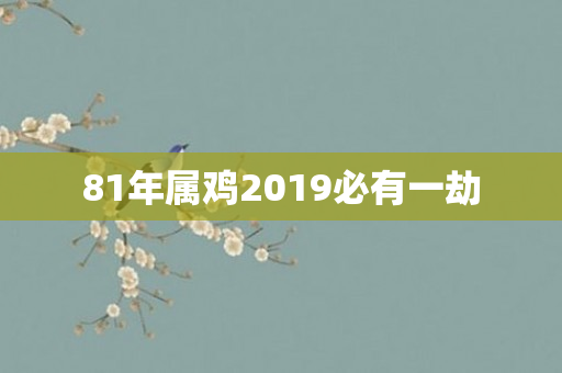 81年属鸡2019必有一劫