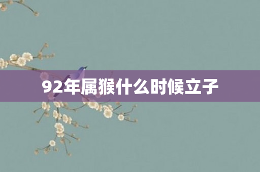 92年属猴什么时候立子