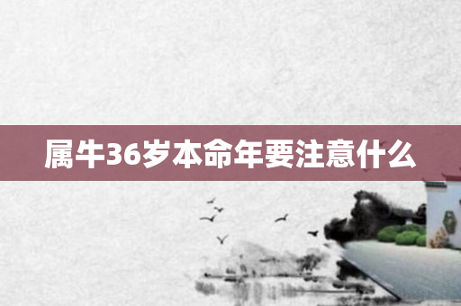 属牛36岁本命年要注意什么