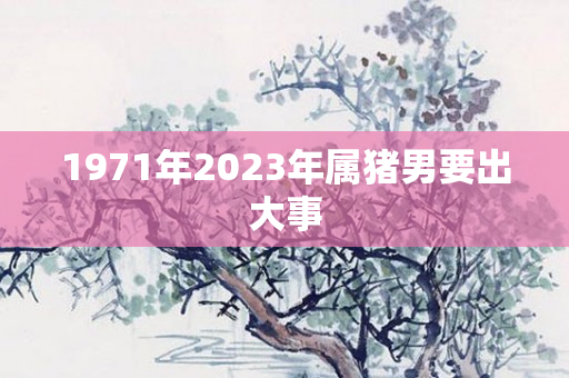 1971年2023年属猪男要出大事