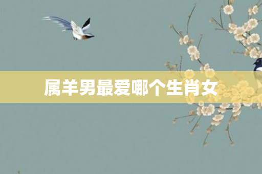 属羊男更爱哪个生肖女