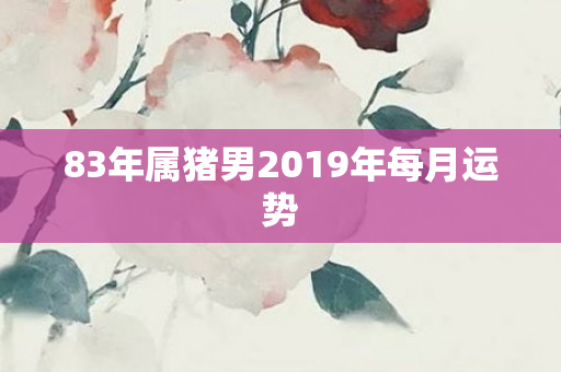83年属猪男2019年每月运势