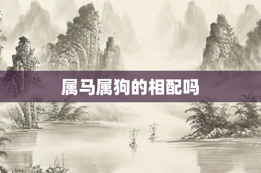 属马属狗的相配吗