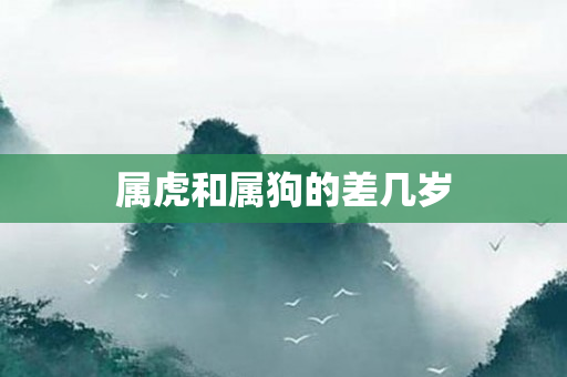 属虎和属狗的差几岁