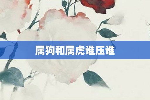 属狗和属虎谁压谁