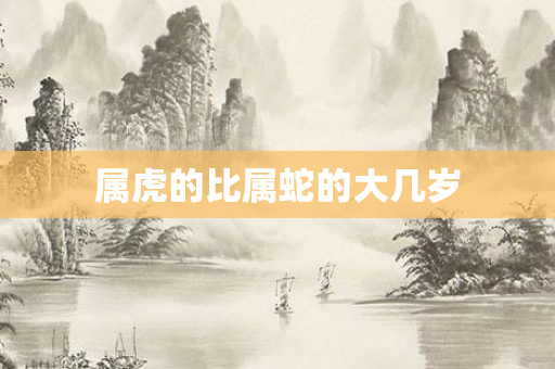属虎的比属蛇的大几岁