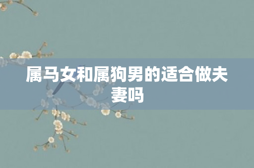 属马女和属狗男的适合做夫妻吗