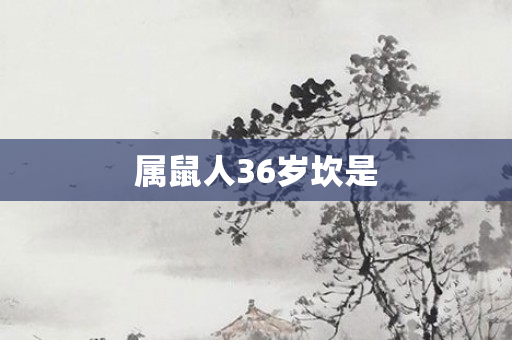 属鼠人36岁坎是
