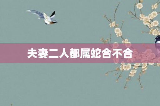 夫妻二人都属蛇合不合