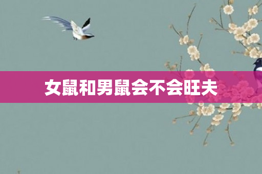 女鼠和男鼠会不会旺夫