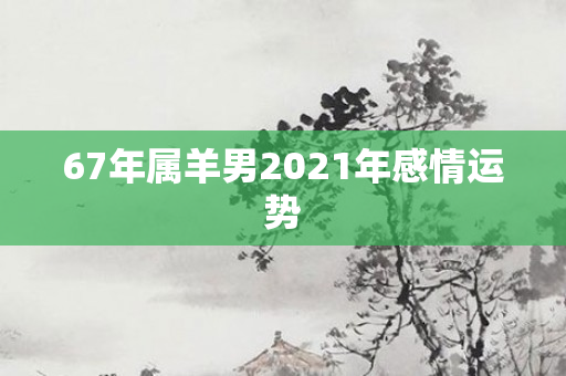 67年属羊男2021年感情运势