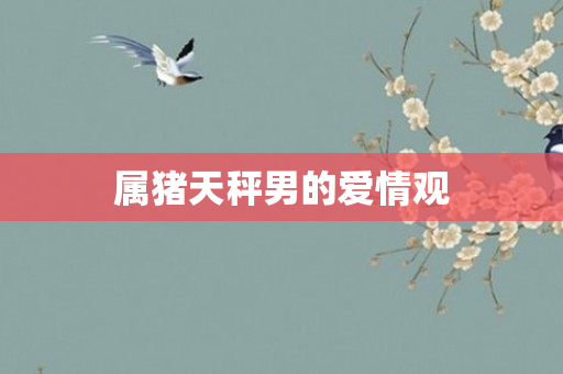 属猪天秤男的爱情观
