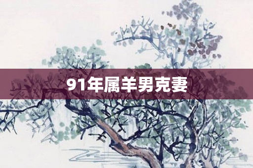 91年属羊男克妻