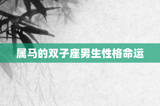 属马的双子座男生性格命运