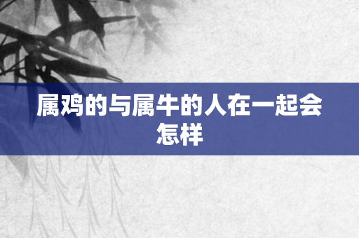 属鸡的与属牛的人在一起会怎样