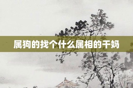 属狗的找个什么属相的干妈