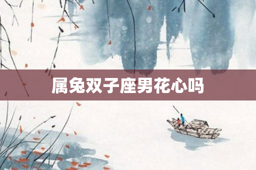 属兔双子座男花心吗