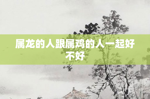 属龙的人跟属鸡的人一起好不好