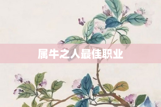 属牛之人更佳职业