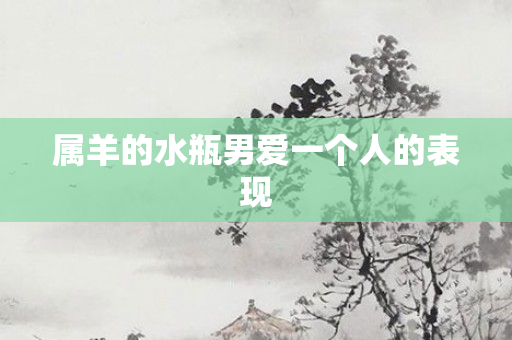 属羊的水瓶男爱一个人的表现