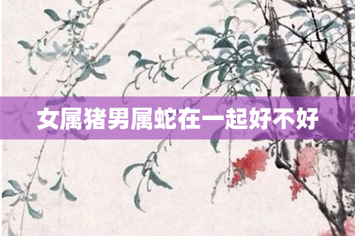 女属猪男属蛇在一起好不好